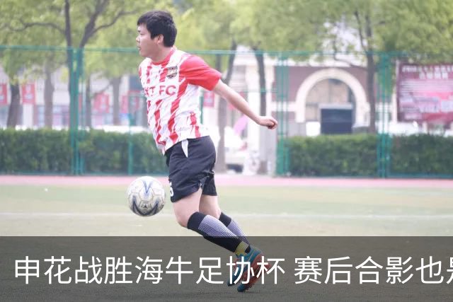申花战胜海牛足协杯 赛后合影也是见到盖伊