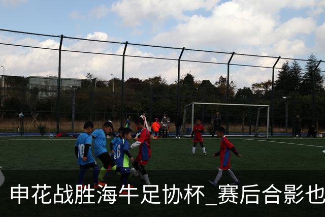 申花战胜海牛足协杯 赛后合影也是见到盖伊