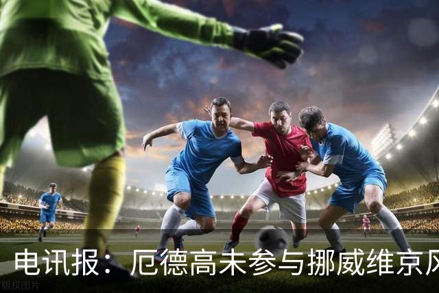 电讯报：厄德高未参与挪威维京风合照拍摄，随后补拍被添加进照片
