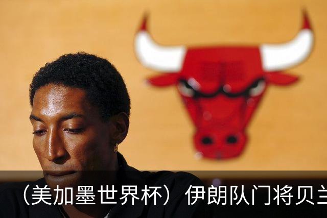 （美加墨世界杯）伊朗队门将贝兰万德的“满分”
