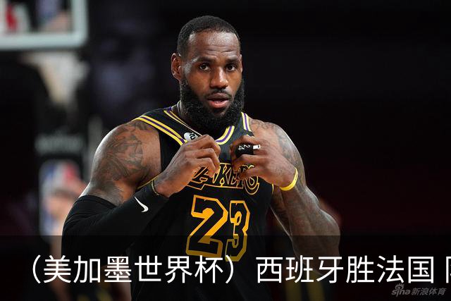 （美加墨世界杯）西班牙胜法国 队史第二次闯入世界杯决赛