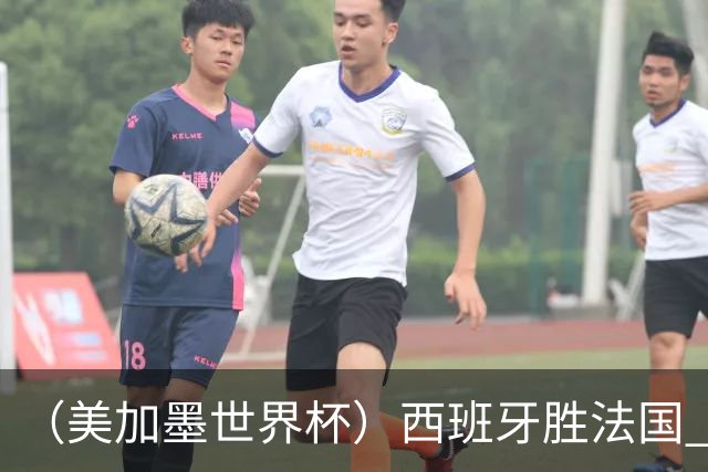 （美加墨世界杯）西班牙胜法国 队史第二次闯入世界杯决赛